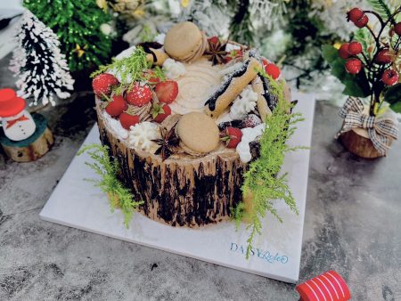 TC194-Trang Trí Trái Cây-Noel