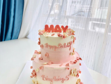 BÁNH 2 TẦNG MÀU OMBRE-HOA NHÍ-ĐƠN GIẢN-SIMPLE
