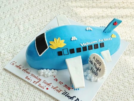BÁNH TẠO HÌNH MÁY BAY-VIETNAM AIRLINE