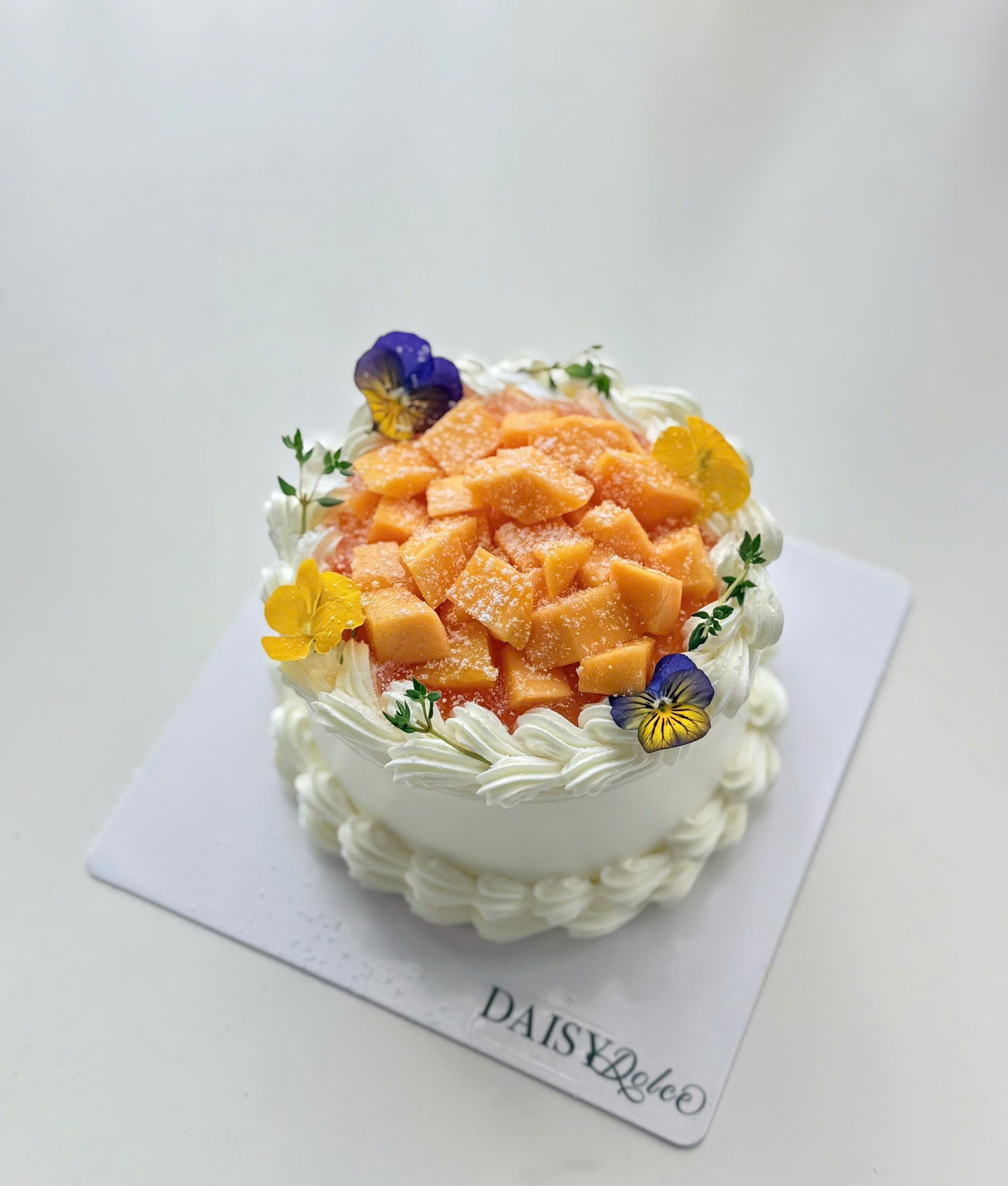 BÁNH MINI BENTO - DaisyDolce